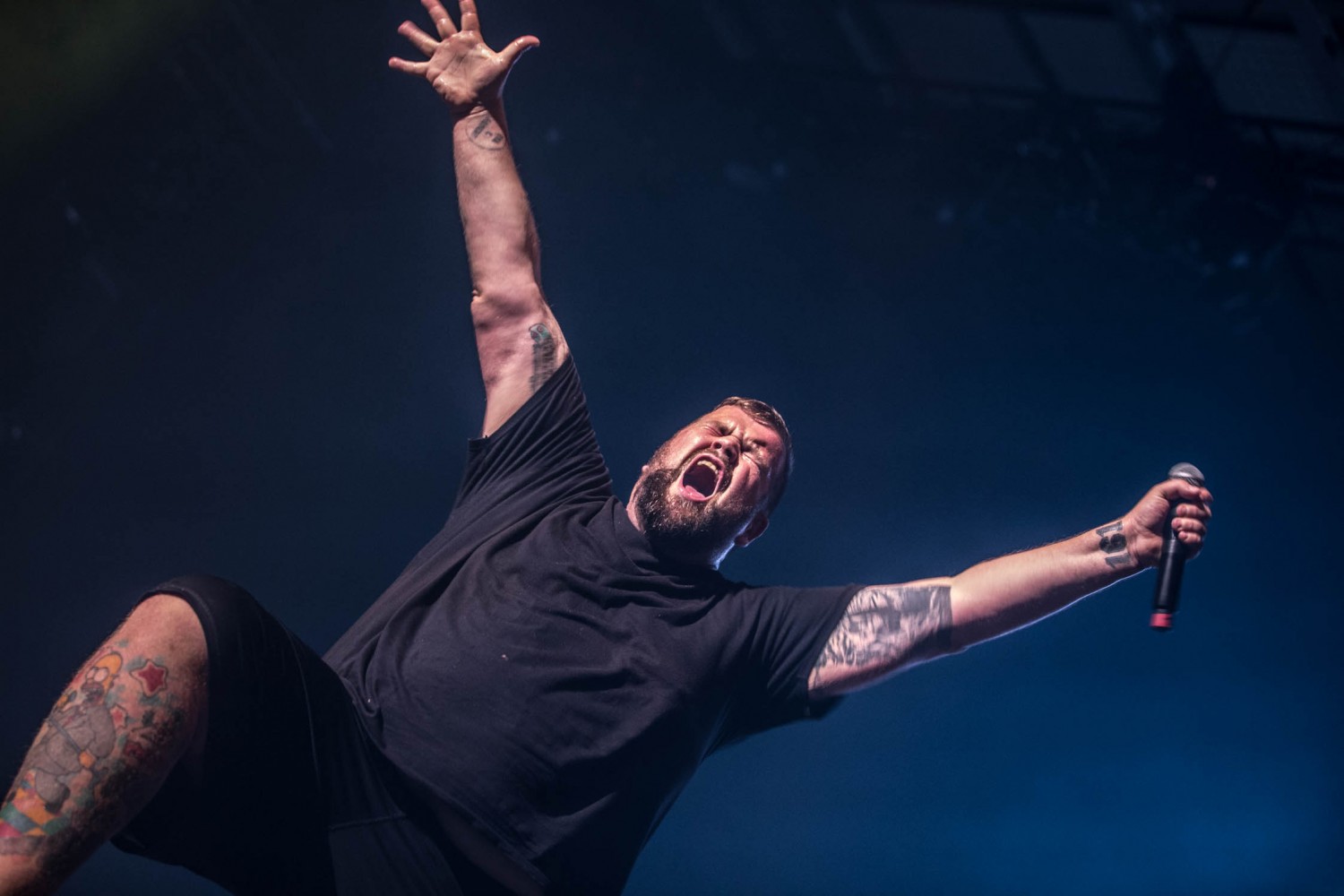 Die Toten Hosen, Feine Sahne Fischfilet (31)