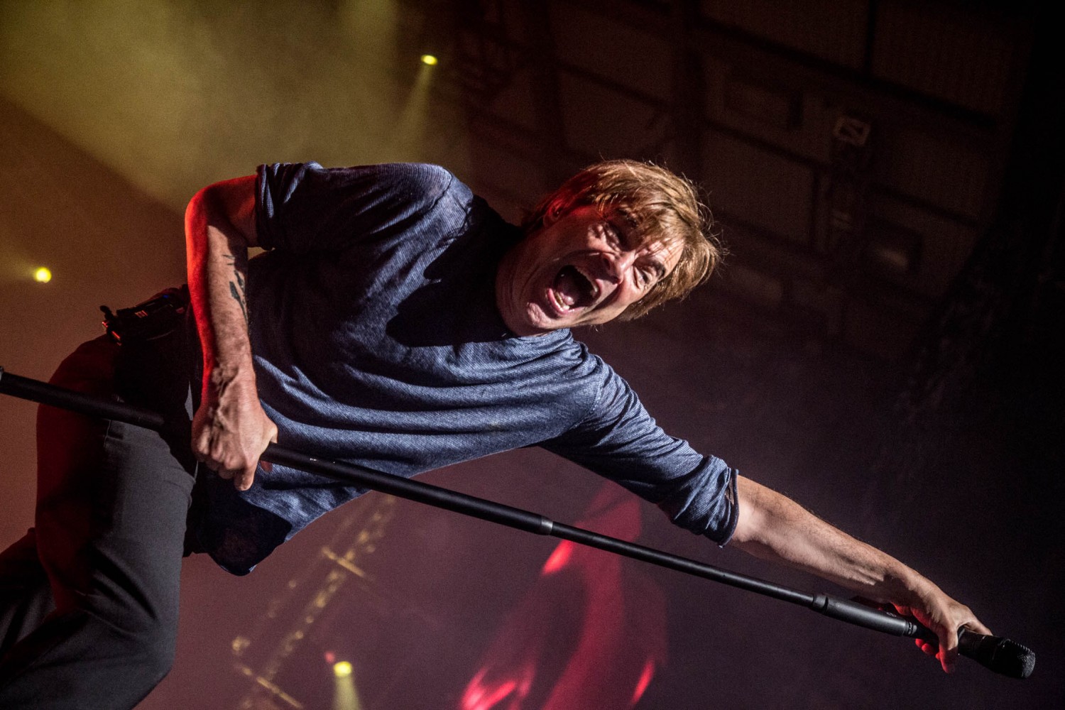 Die Toten Hosen, Feine Sahne Fischfilet (9)