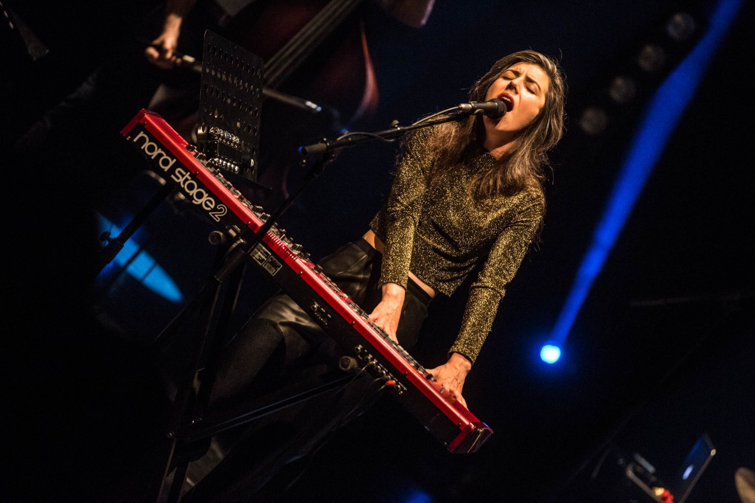 Julia Holter (1)