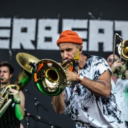 Szene-Openair-2019---Querbeat-10