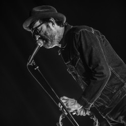 eels-20.jpg