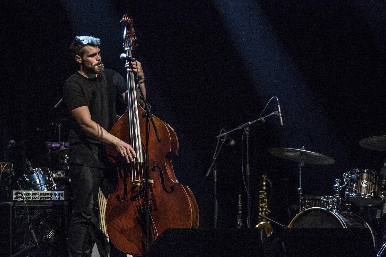 Luca Sestak Trio, Tanika Tikaram (10)