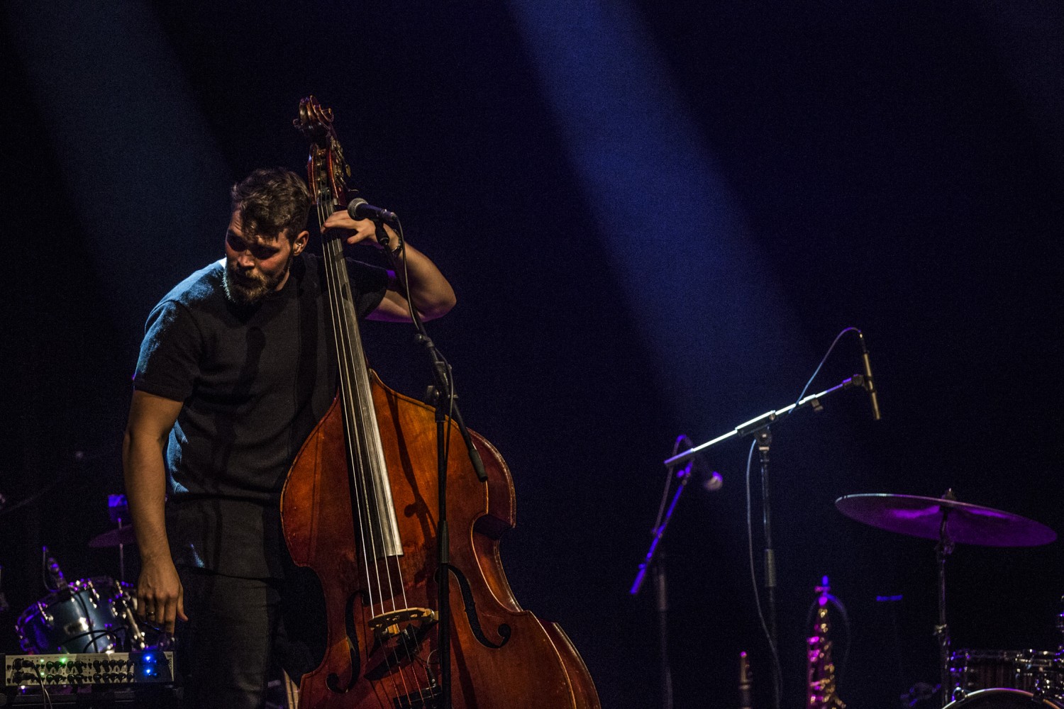 Luca Sestak Trio, Tanika Tikaram (12)