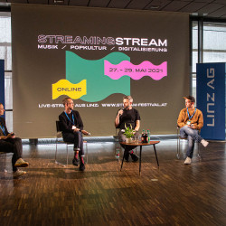 StreamFestival2021TalkoDonnerstag_subtext_LisaLeeb-1-von-21-2