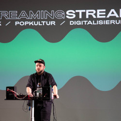 StreamFestival2021TalkoDonnerstag_subtext_LisaLeeb-1-von-21-20