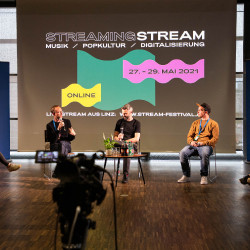 StreamFestival2021TalkoDonnerstag_subtext_LisaLeeb-1-von-21-8