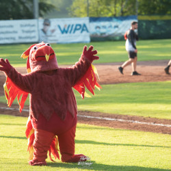 WET_20220604_8570---Opening-Ceremony---Finkstonball-XXIII-Athletics-Ballpark-Attnang-Puchheim