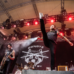 Donots_SBAM-Fest-2022--Andreas-Worister-12