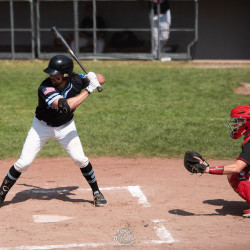 WET_20230529_6928---BRYAN-RUBY-Baseball-Jobs-Overseas-Vindija-Varazdin---Finkstonball-XXIV-As-Ballpark-Attnang-Puchheim