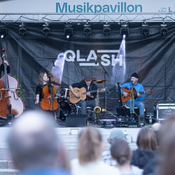 Acoustic-Qlash-100017